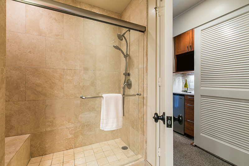 4301 Shower with Bench